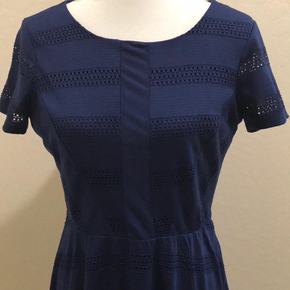 Brand New LC Navy Dress 💃🏼